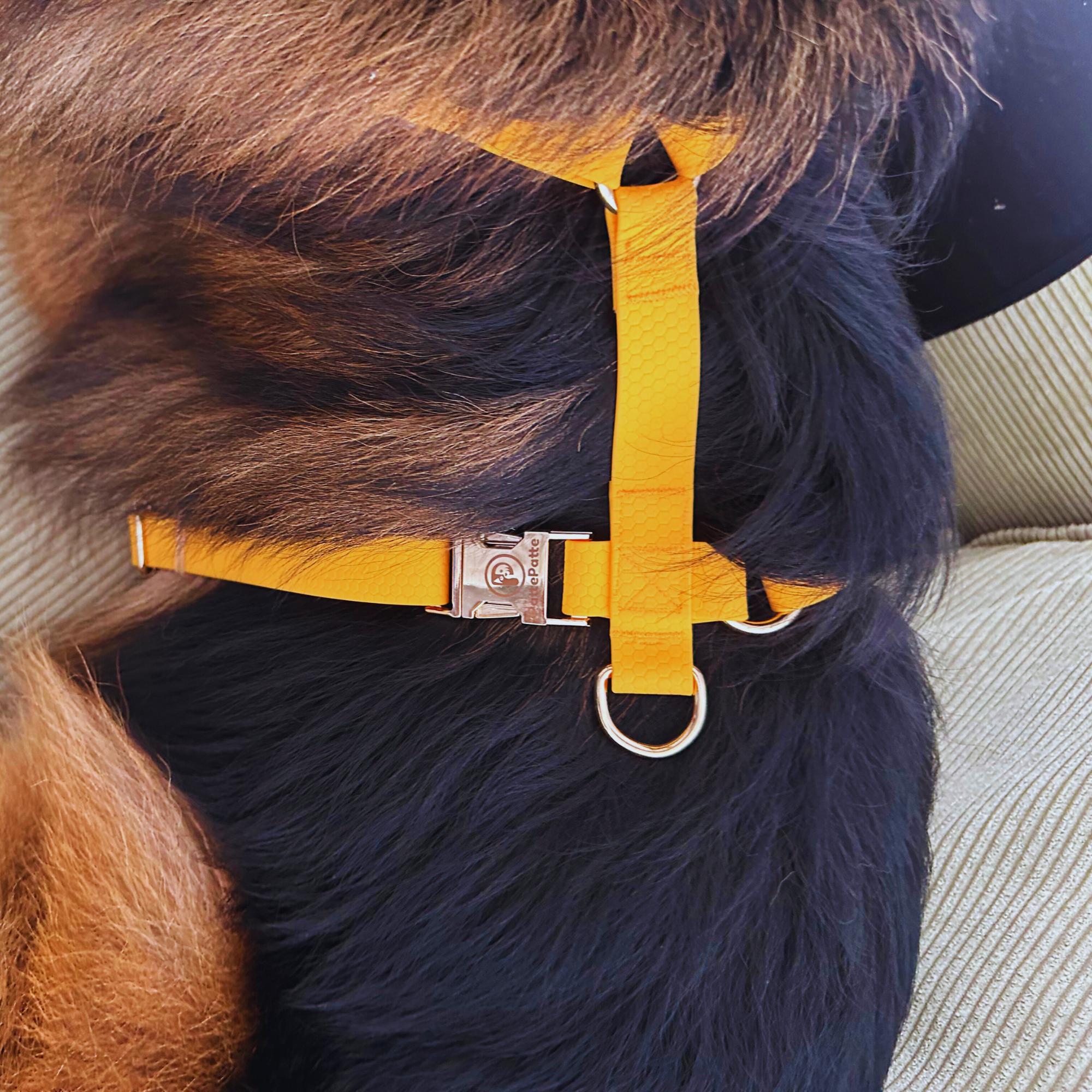 Orange Waterproof Dog Harness