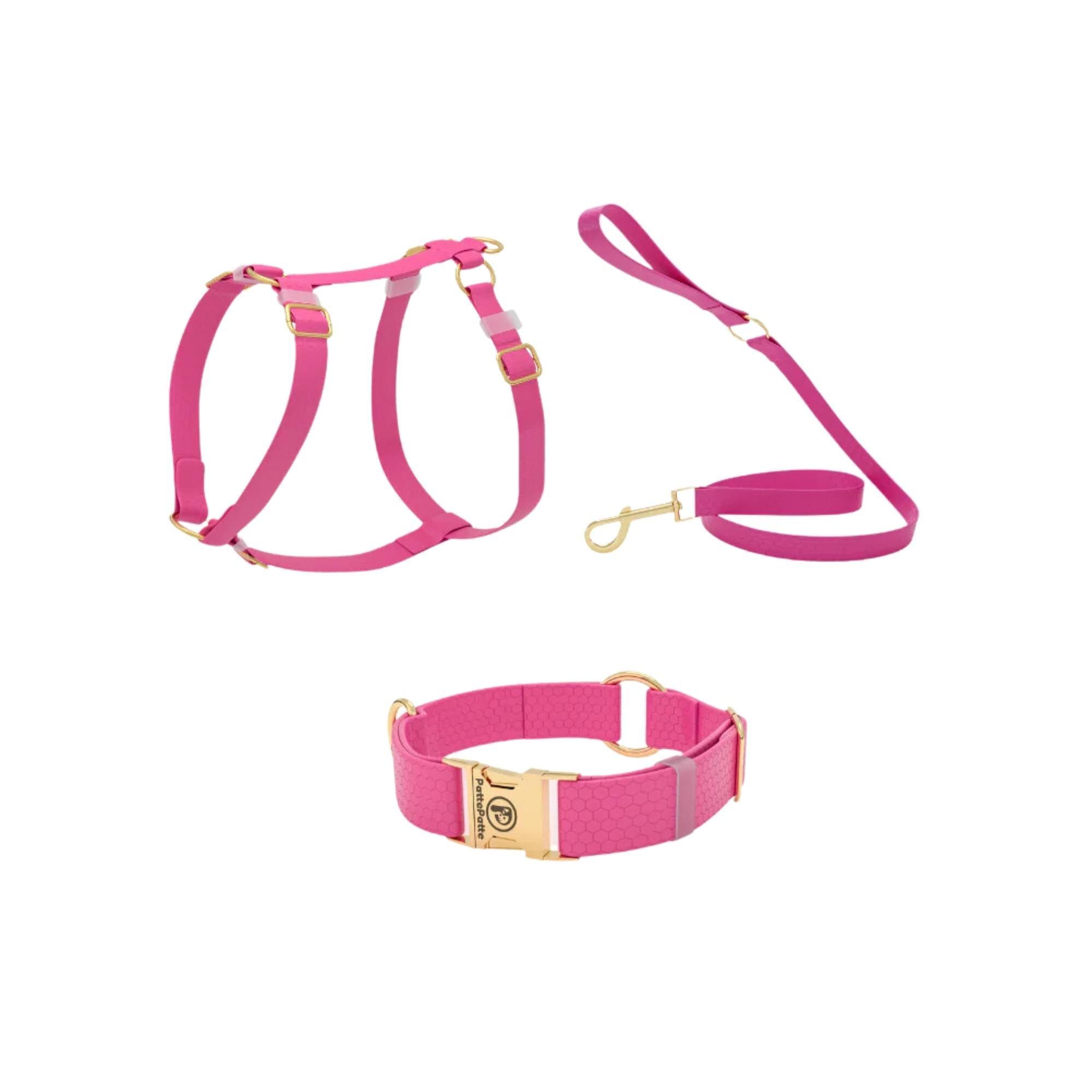 PattePatte Dog Collar Sets